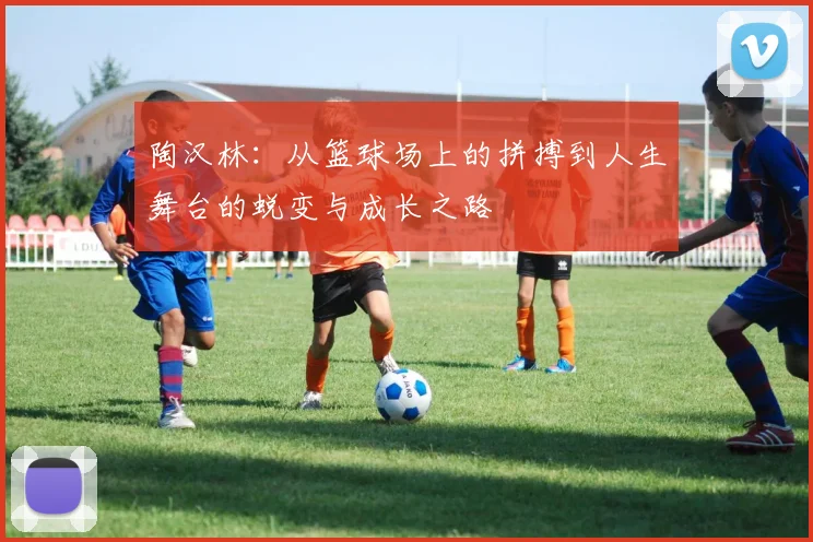 陶汉林：从篮球场上的拼搏到人生舞台的蜕变与成长之路